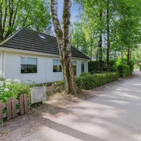 8 Pers Met Natuur- Sauna En Bubbelbad Semesterbostad Diessen