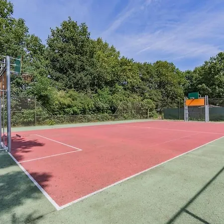 Groot Met Sauna En Bubbelbad * Diessen