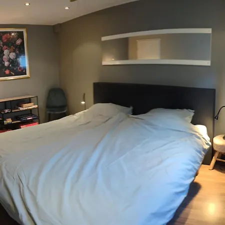 Groot Met Sauna En Bubbelbad