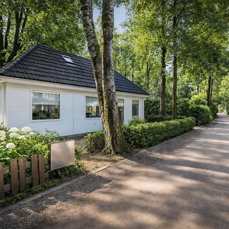 Groot Met Sauna En Bubbelbad * Diessen