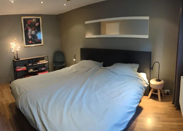 Groot Met Sauna En Bubbelbad